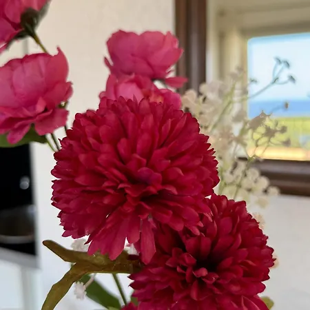Proche Calvi Lägenhet